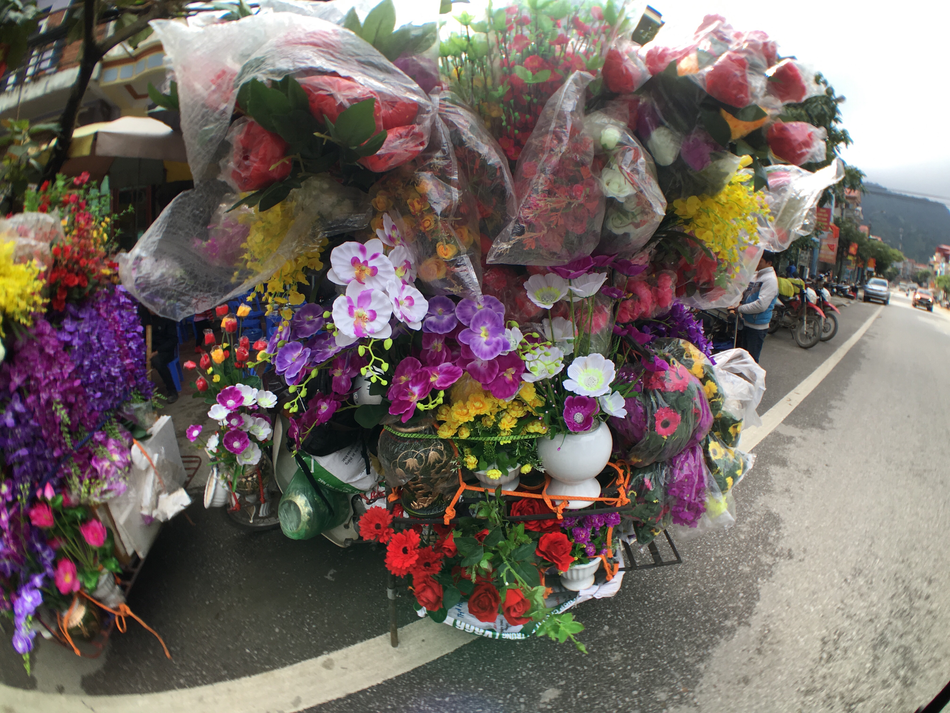 Seriously? How is this not the coolest scooter ever?