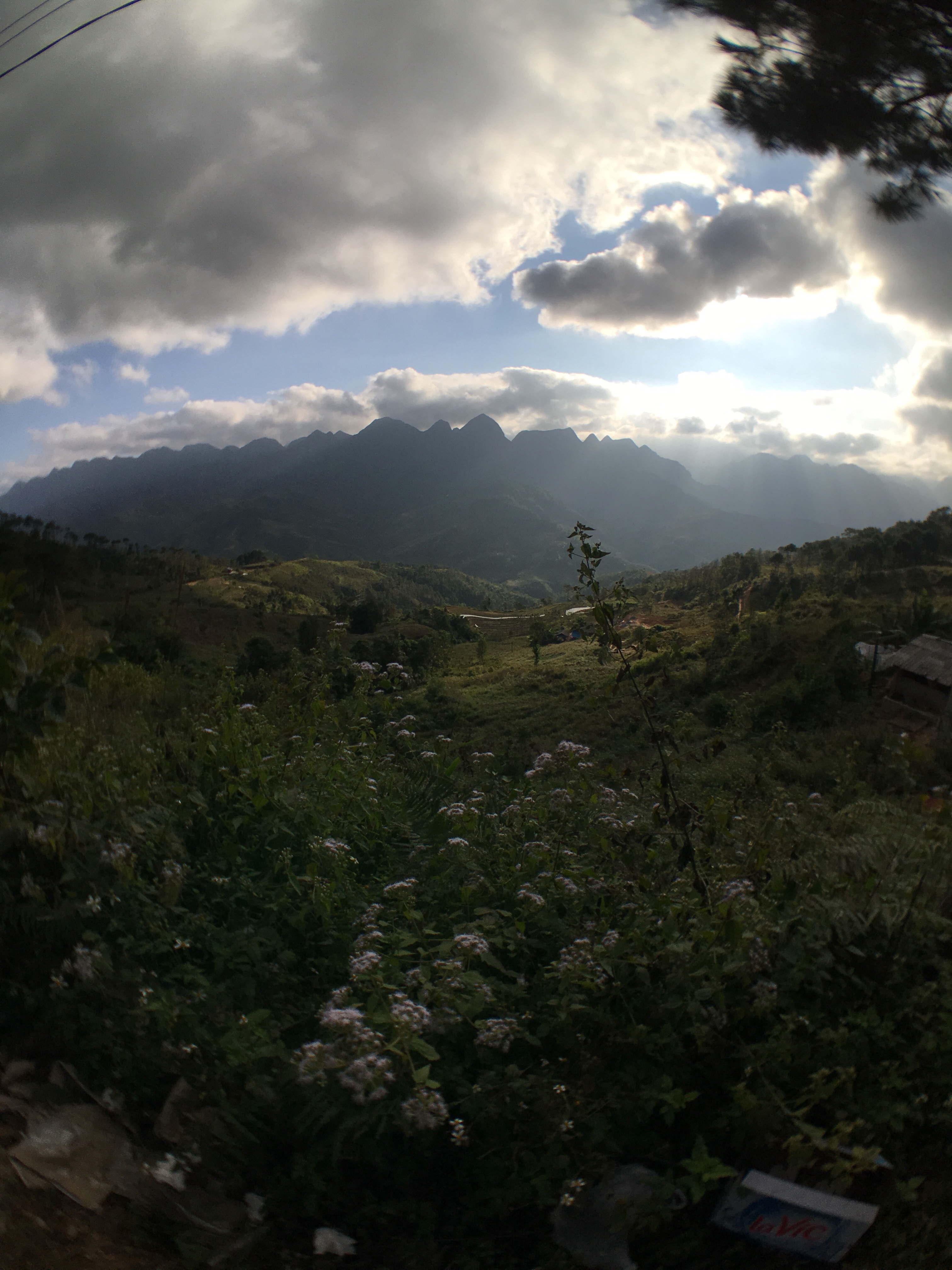 Scene of the Accident 