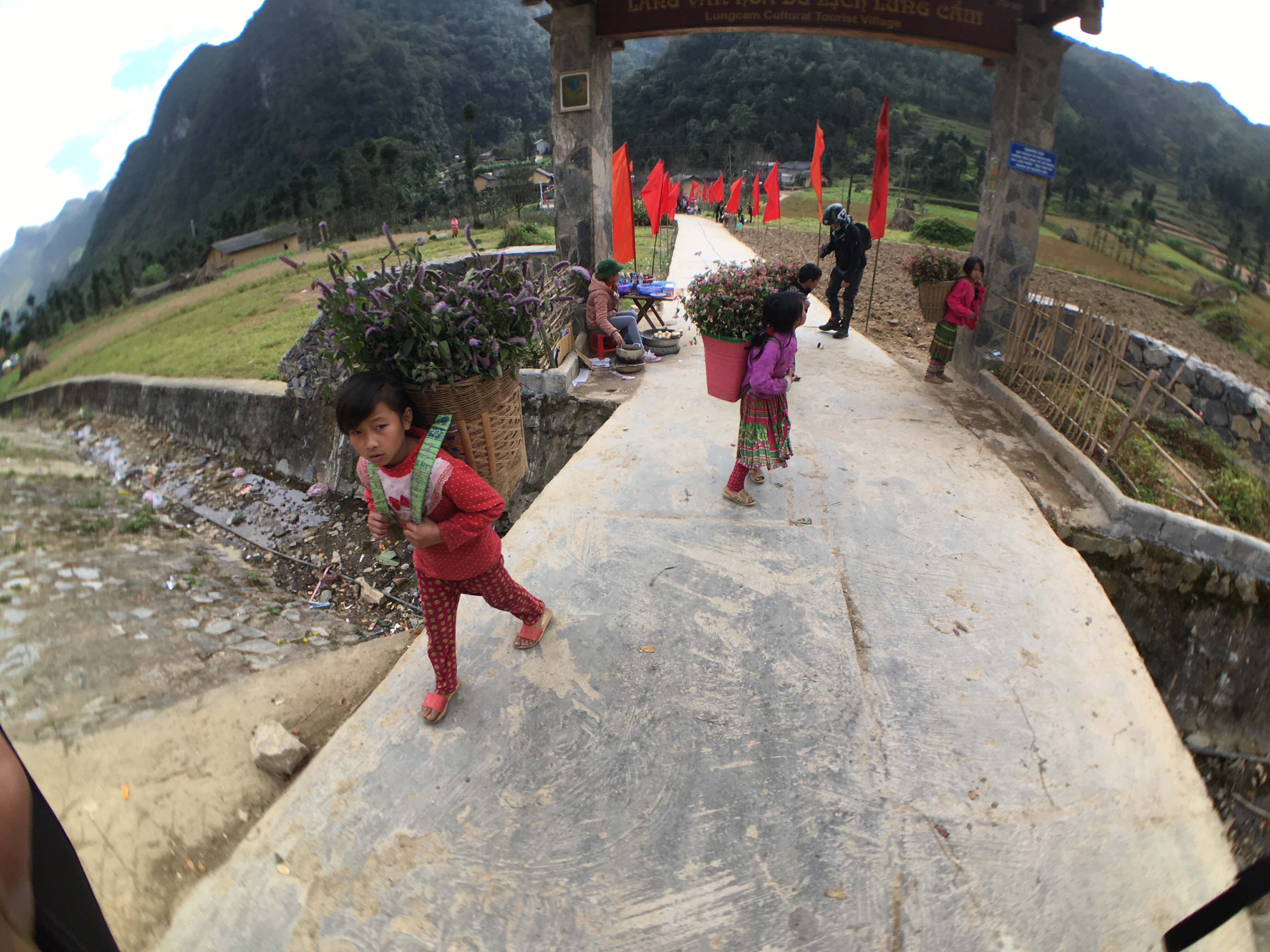 Young girls hauling flowers. 