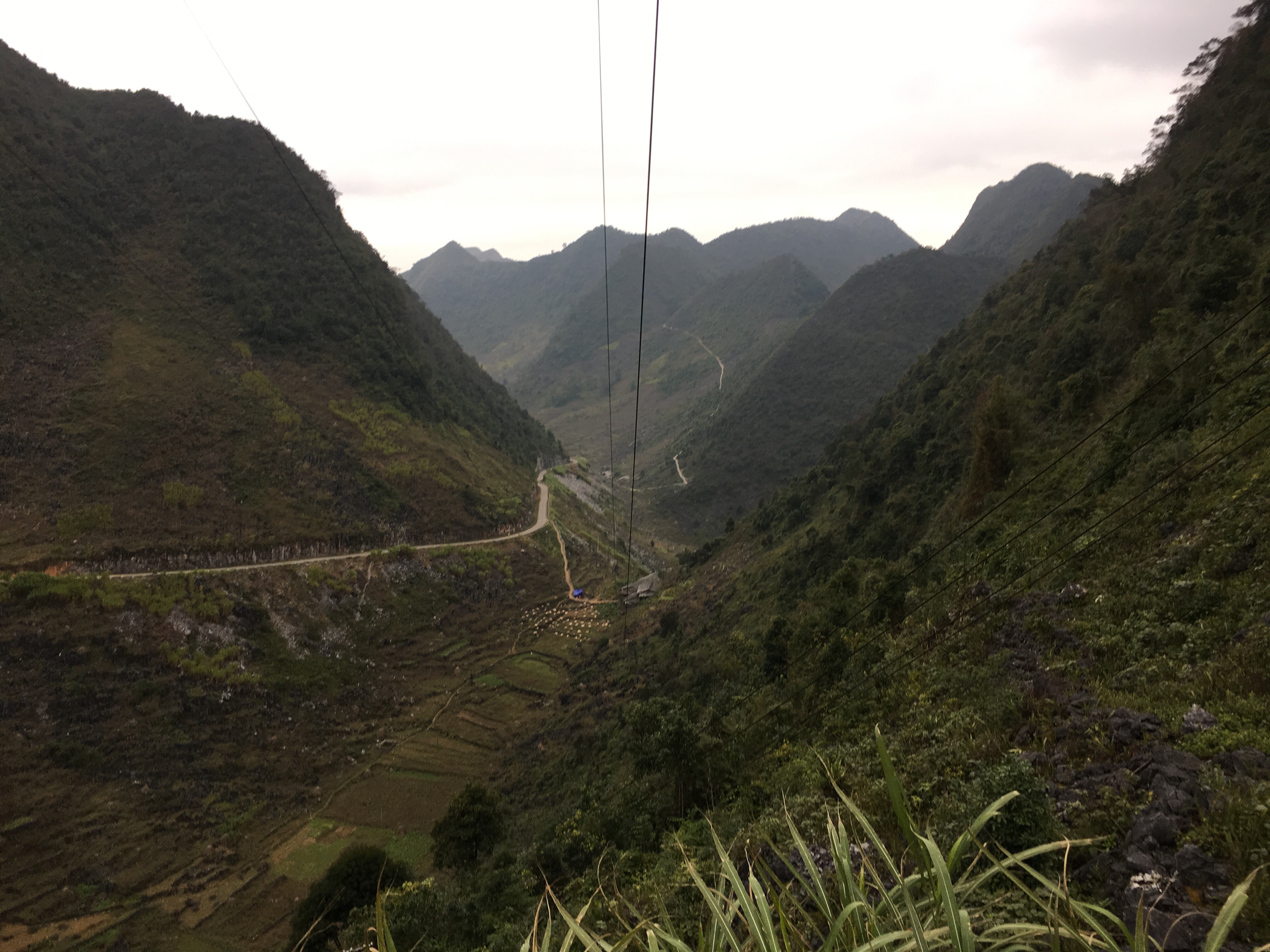 Afternoon ride on the endless back roads. 