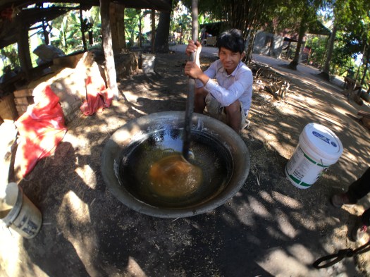 Making palm sugar. 